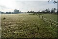 Fields to the south of Gobions Wood