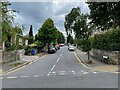 Tree Root Walk / Severn Road