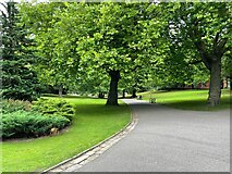 SK3387 : Path in Weston Park by Mr Ignavy