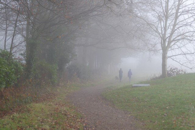 Walking in the fog