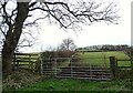 NZ0855 : Field gate beside Fine Lane by Robert Graham