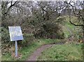 Path leading to Dolforwyn Castle