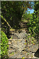 Path from Old Road, Boscastle