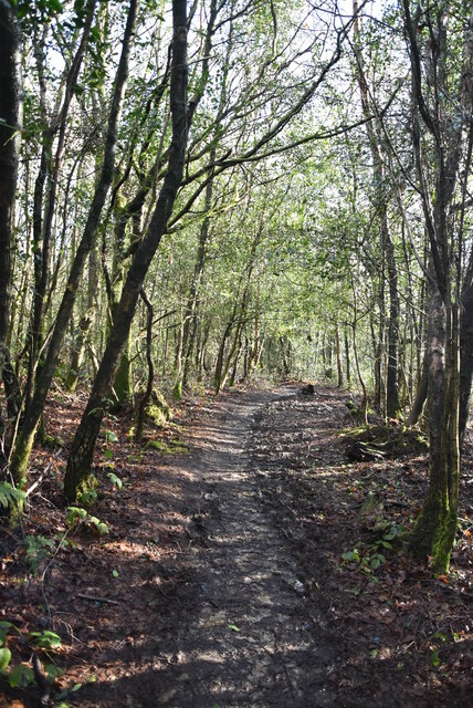 Greensand Way, Crockhamhill Common © N Chadwick cc-by-sa/2.0 ...