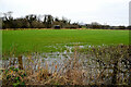 Wet ground, Dunwish