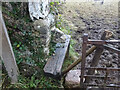SO8701 : Stone Stile, Minchinhampton by Mr Red