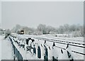 Northern Rail train approaching Eccleston Park station