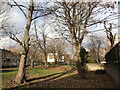 Former Stepney Meeting Burial Ground, White Horse Road