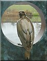 SY7891 : Sculpture by the lakes - Circled falcon by Rob Farrow