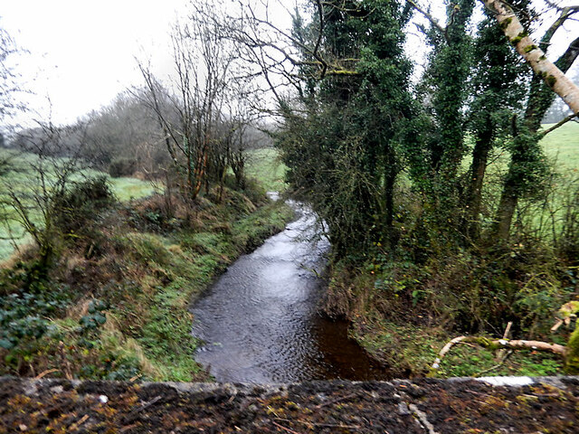 Stream and Hedgerow