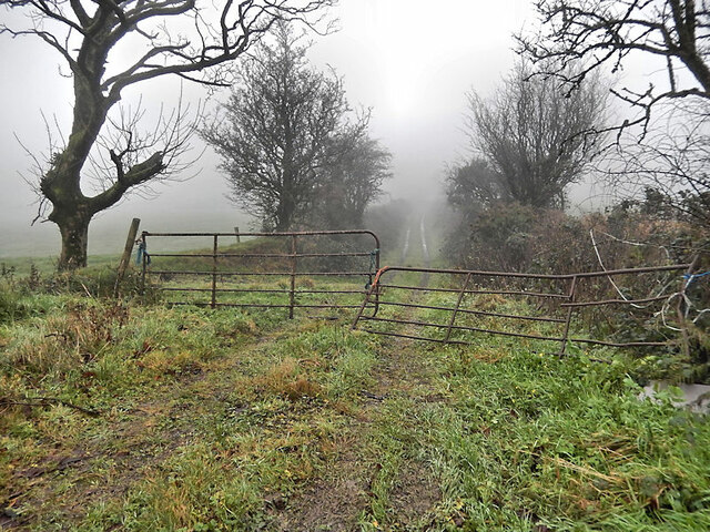 Misty Farm Lane