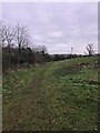 On the Nene Valley Way