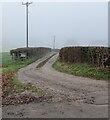 This way for Backways Barn near Wonastow