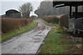 SU5629 : Damp day on the Allan King Way by David Martin