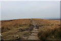 SD6419 : Footpath on the Summit of Great Hill by Chris Heaton