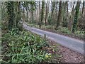 Lane to Batch Cottage (Almeley)