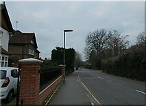 TQ0058 : Lamppost in Heathside Road by Basher Eyre