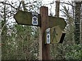 Fingerposts by Oldcastle Twt (Almeley)