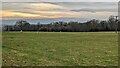 The Black Mountains (Viewed from Almeley)