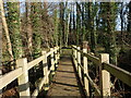 Footbridge over a tributary of the River Rother