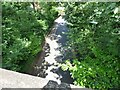 Wightwick Bank from the footbridge