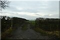 Gate beside High Moor Road