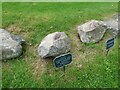 Glacial erratic boulders