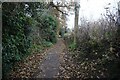 Path leading to Hartle Lane, Belbroughton