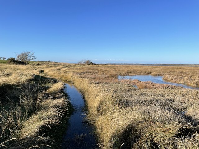 Salt marsh on the Alde estuary