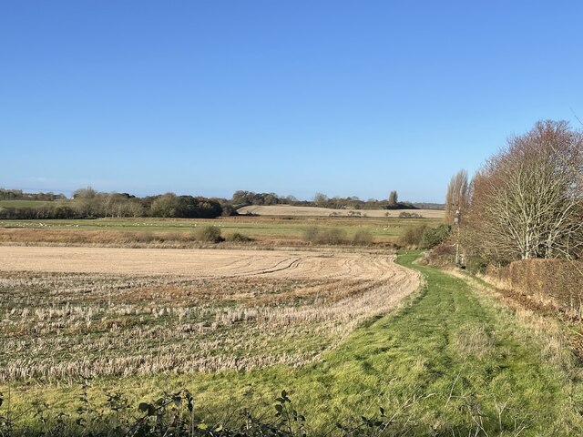 Farmland near Cowton House