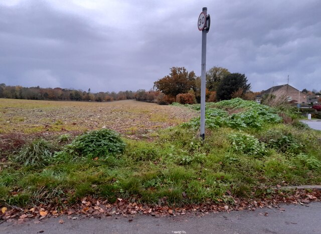 Field by Gipsy Lane, Knebworth