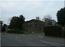 TQ0058 : Approaching the junction of Heathside Road and Calluna Court by Basher Eyre