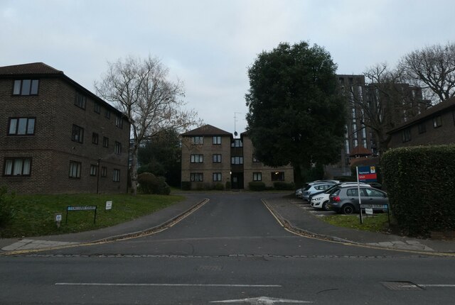 Calluna Court, as seen from Heathside Road
