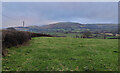 Countryside view at Hagley