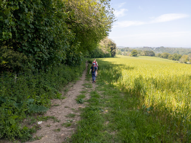 Field footpath on the approach to Dartington Hall near Totnes