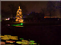 SD8304 : Lightopia Festival 2021, Christmas Tree near Heaton Hall by David Dixon