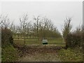 Cider orchard, Little Witley