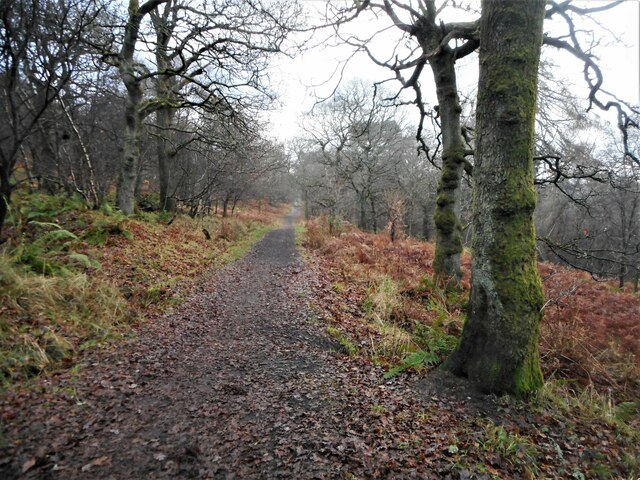 Garscadden Wood © Richard Sutcliffe :: Geograph Britain and Ireland