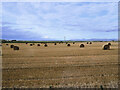 Farmland at Murkle