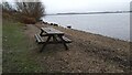TL1568 : Picnic bench by Grafham Water by Gordon Brown