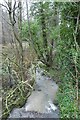 Stream from Penny Pot Lane