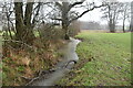 TQ6427 : Small stream along hedge by N Chadwick