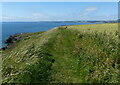 NT4699 : Fife Coastal Path at Kincraig Point by Mat Fascione