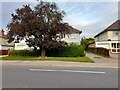 Houses on London Road, Biggleswade