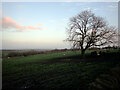 Field alongside Bradford Road (B6135), Drighlington