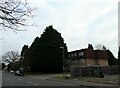 Lamppost in Mount Hermon Road