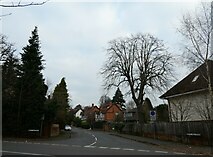 TQ0057 : Looking from Wych Hill Lane into West Hill Road  by Basher Eyre