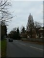 Looking back towards the junction of Wych Hill Lane with West Hill Road