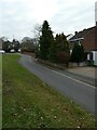 Approaching the junction of Turnoak Lane and Wych Hill Lane