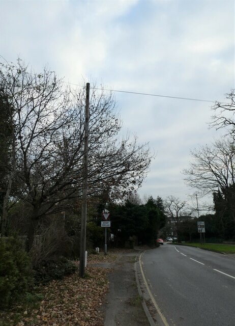 Telegraph pole in Wych Hill Lane